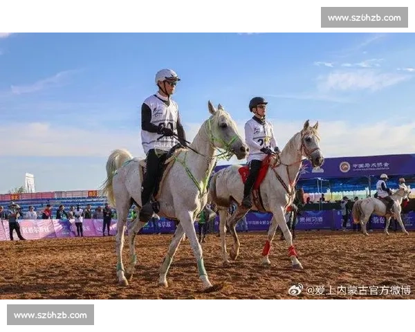 巅峰对决！国内顶级马术赛在邯郸激情开赛