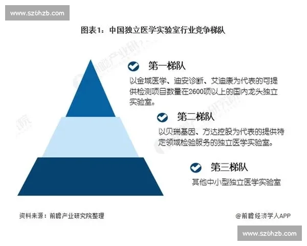 淬炼八年：中国各梯队外战的财富密码
